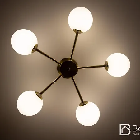 Seaweed - Center 公寓 的里雅斯特