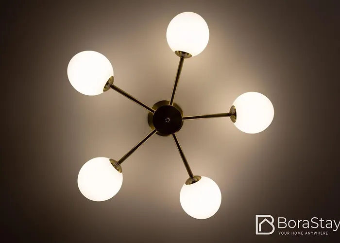 Seaweed - Center Trieste